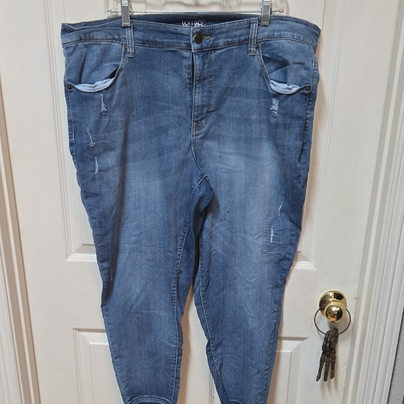Terra & Sky Blue Women Jeans - Picture 1 of 4